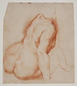 Nymphes et satyres cueillant des fruits. Nymphe assise au premier plan - Willem Panneels