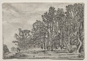 Le jeu des paysages : deux haies de planches, 1616