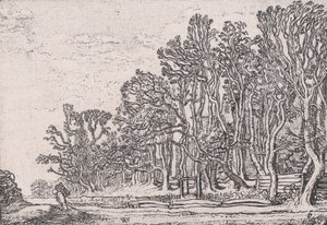 Deux Haies de Planches, de Verscheyden Landtschapjes Divers Petits Paysages, Planche 6
