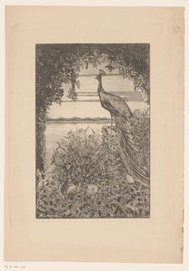 Paon assis et debout dans la nature - Willem Scherjon