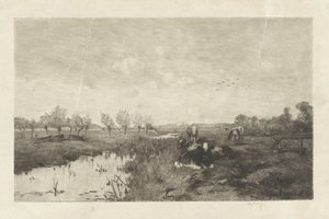 Polderlandschap met koeien