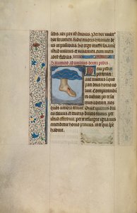 Le pied gauche du Christ avec une plaie - Willem Vrelant
