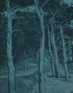 Forêt, vers 1912