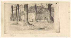 Arbres près d