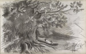 Paysage avec un grand arbre à Rhenen - Willem Arnoldus Witsen