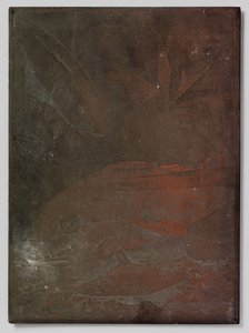 Poissons dans un aquarium - Willem Arnoldus Witsen