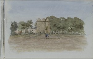 Tours de pigeons près d