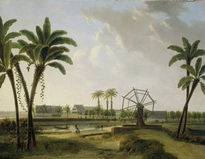 Vue de la plantation de café Marienbosch au Surinam - Willem de Klerk
