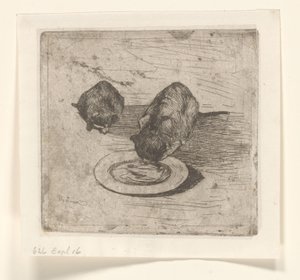 Deux chats, un buvant dans une assiette - Willem de Zwart