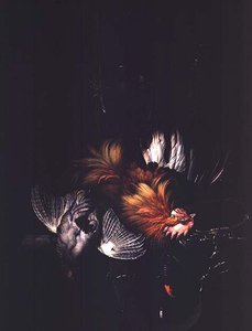 Image inconnue - Willem van Aelst