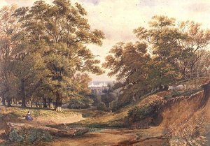 Scène dans le bois de Bagley près d