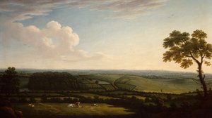 Paysage boisé étendu avec une vue lointaine d