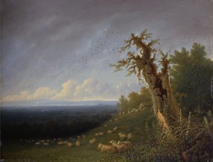 Garçon berger sur une colline