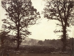 Paysage avec ormes, Ashdown, Grande-Bretagne - William 2nd Earl of Craven