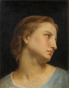 Étude de la tête d