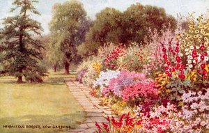 Bordure herbacée, Jardins de Kew - William Affleck Carruthers