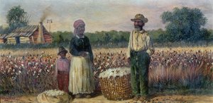Cotton Pickers in the American South (planche) (pour la paire voir 67736)