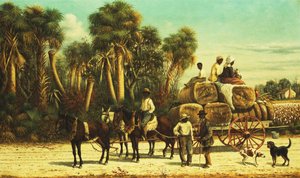 Le wagon de coton