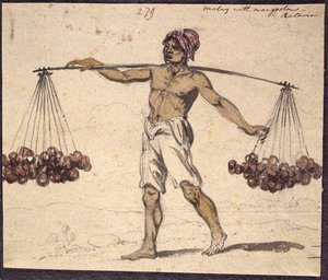WD 961 f.279 - William Alexander
