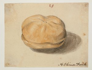 WD 961 f.29 - William Alexander