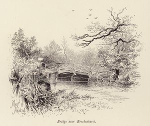 Pont près de Brockenhurst - William Alexander Ansted