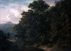 Vue du domaine de Powerscourt