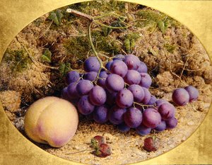 Raisins et pêche sur une berge mousseuse - William B. Hough