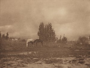 Paysage de Pasadena - William B Post