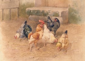 Poules - William Baptiste Baird