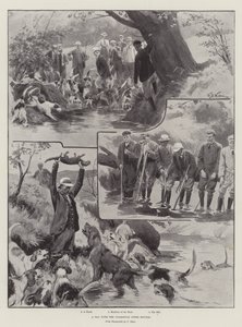 Une journée avec les chiens de loutre de Culmstock