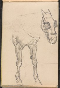 Esquisse de cheval avec œillères - William Barnes Wollen