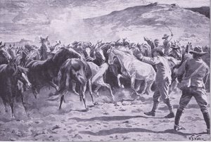 La capture des chevaux dans le district de Brandwater près de Fouriesburg : rassemblement du troupeau, illustration de Après Pretoria : La guerre de guérilla, 1902