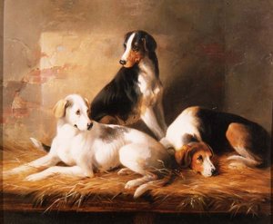 Trois chiens dans une écurie
