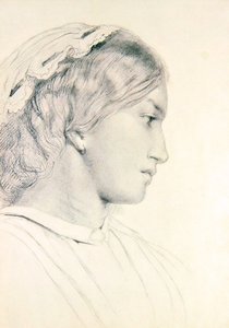 Étude de la tête d