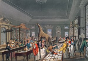 Intérieur de la salle égyptienne, Piccadilly, gravé par l