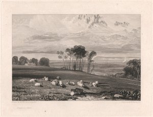 Crowhurst, Sussex