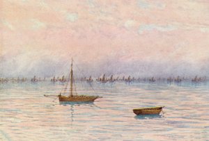 La flotte d
