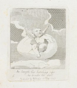Enfin, pour éclore mûr, il brise la coquille, planche 8 de 