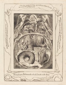 Béhémoth et Léviathan