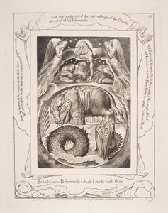 Béhémoth et Léviathan, des Illustrations du Livre de Job, 1825-26 - William Blake