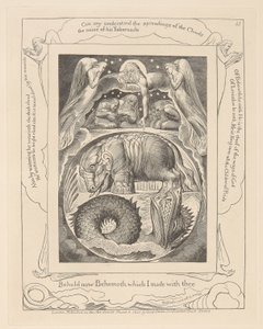 Livre de Job, Planche 15, Béhémoth et Léviathan - William Blake