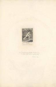 Pour les Sexes - Les Portes du Paradis, Planche 16