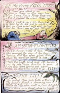 Mon Joli Rosier ; Ah ! Tournesol ; Le Lys : planche 44 de 