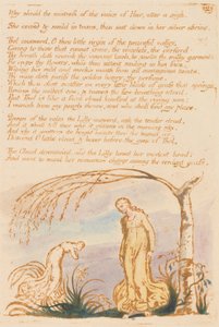 Le livre de Thel, planche 4, Pourquoi la maîtresse... - William Blake