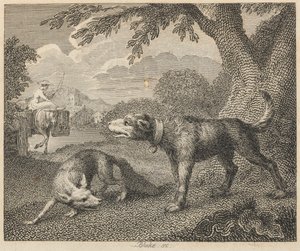 Le chien et le renard