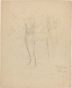 Deux jambes - William Blake