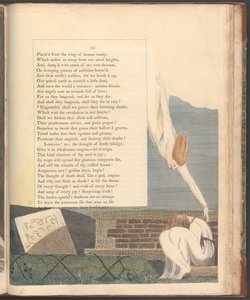 Les Pensées Nocturnes de Young, Page 55, "Ingrats, allons-nous pleurer leurs ombres flottantes" - William Blake