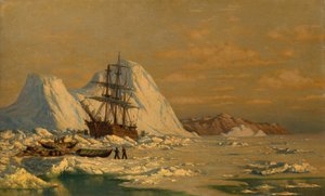 Un incident de la chasse à la baleine - William Bradford