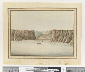 Opp. p. 299. `Vallée de James, Sainte-Hélène 1792