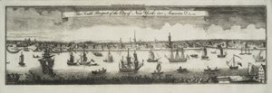 La vue sud de la ville de New York, en Amérique du Nord, 1761